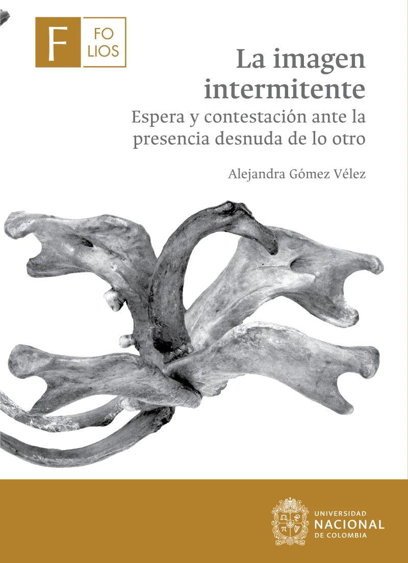 Portada: La imagen intermitente