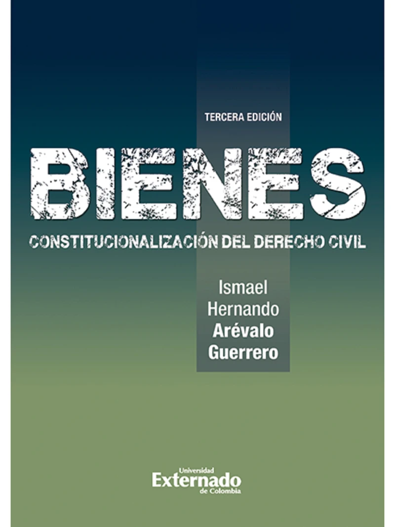 Portada: Bienes Constitucionalización del Derecho Civil