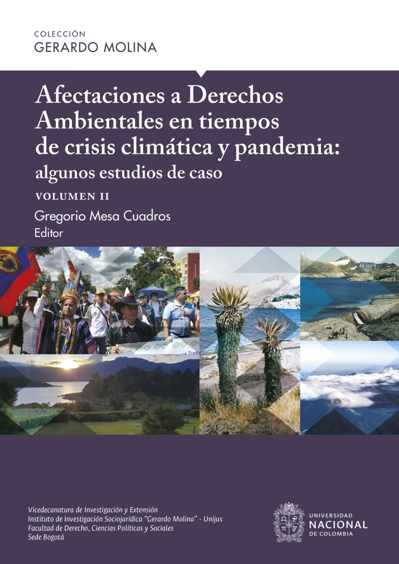 Portada: Afectaciones a Derechos Ambientales en tiempos de crisis climática y pandemia: algunos estudios de caso, volumen II