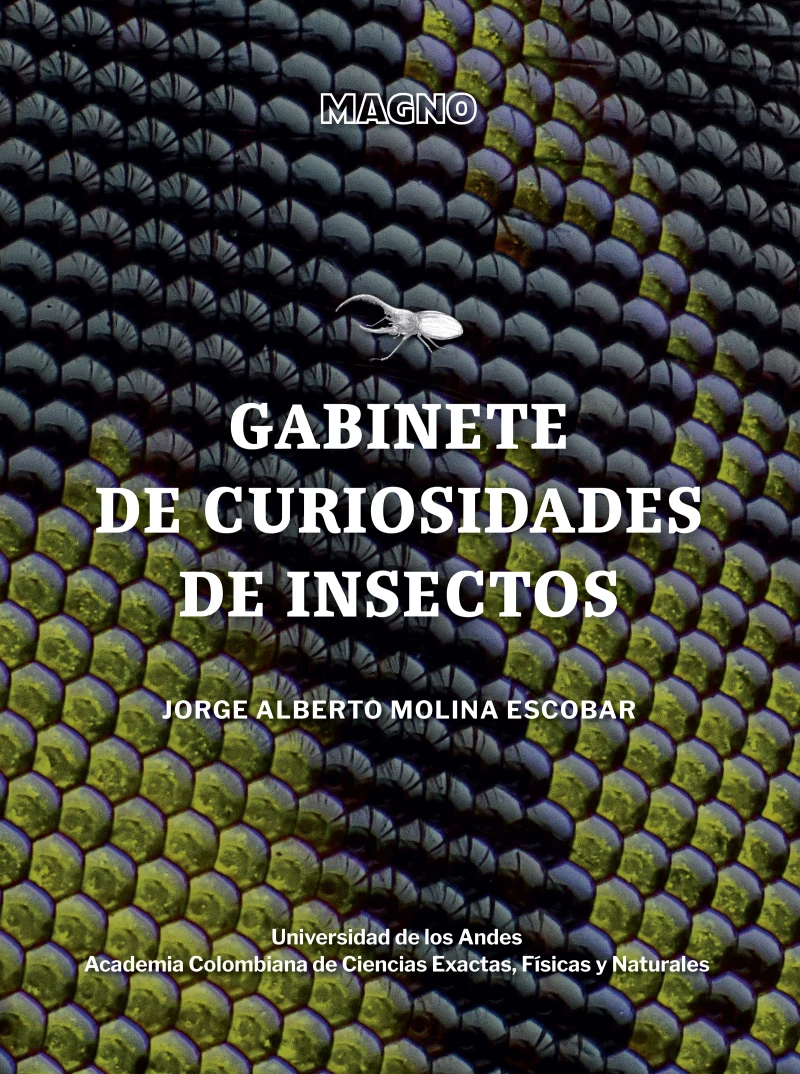 Portada: Gabinete de curiosidades de insectos