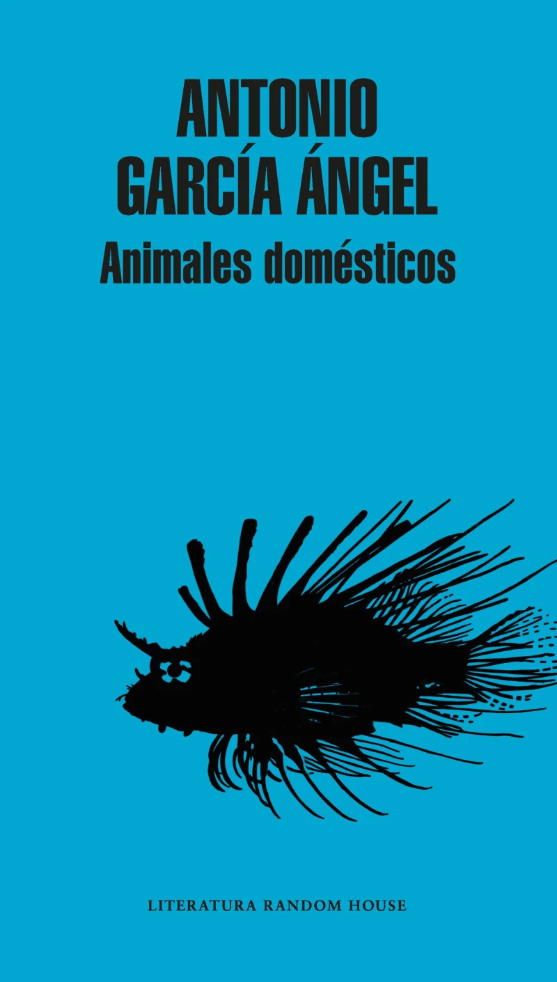 Portada: Animales domésticos