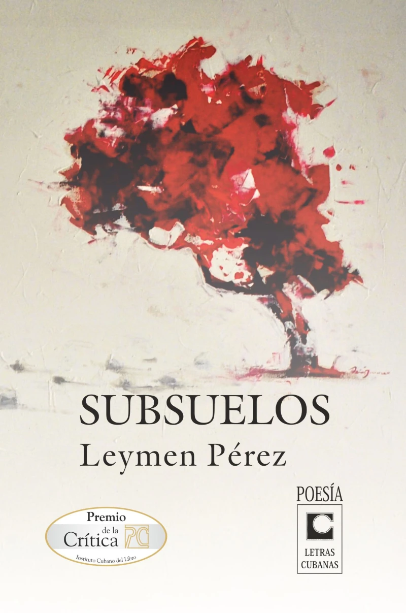 Portada: Subsuelos