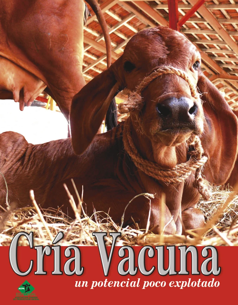 Portada: Cría vacuna, un potencial poco explorado