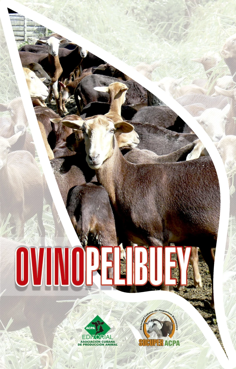 Portada: Ovino pelibuey