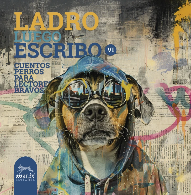 Portada: Ladro, luego escribo VI