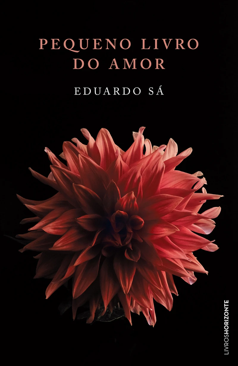 Portada: Pequeno Livro do Amor