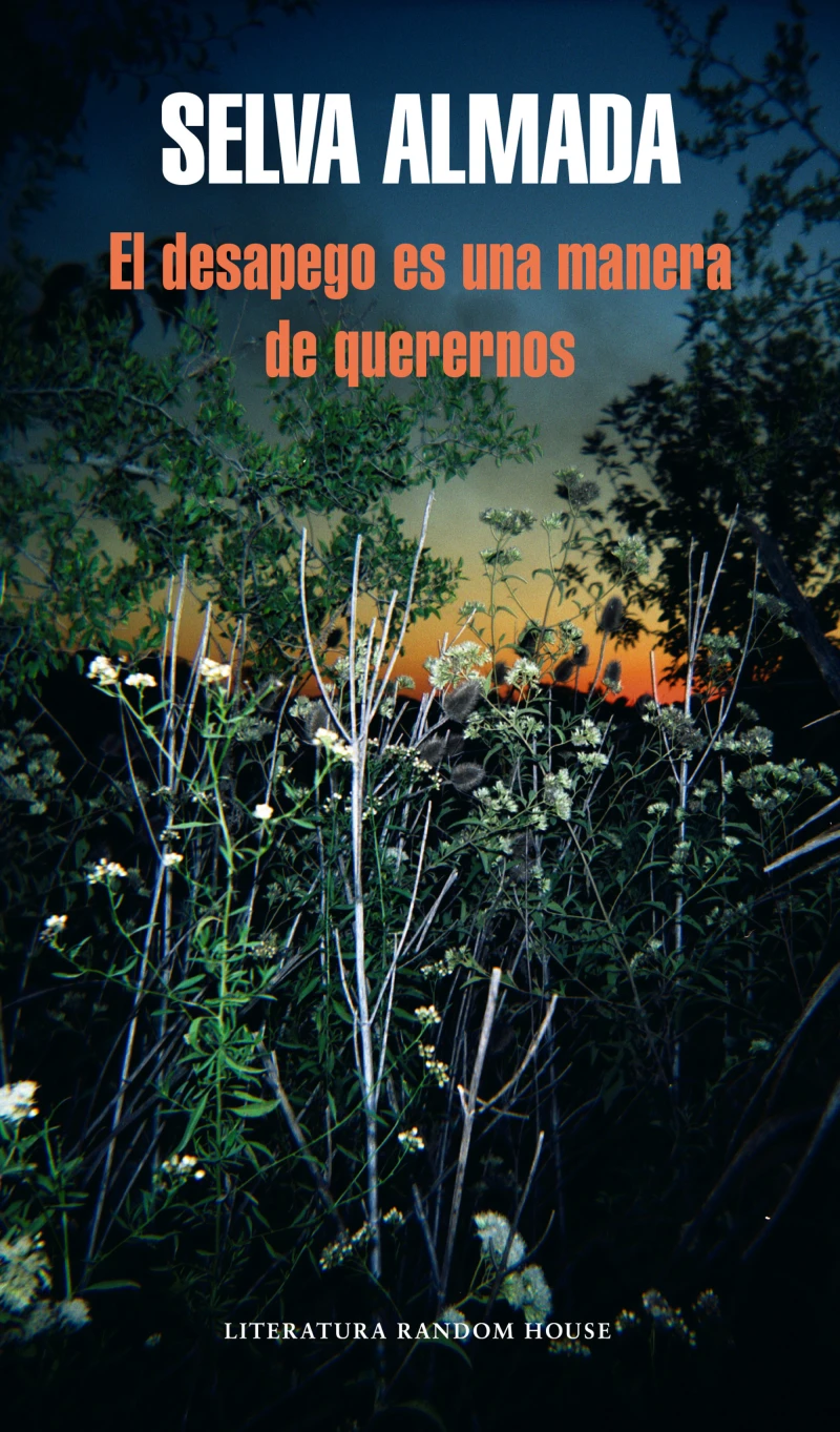 Portada: El desapego es una manera de querernos