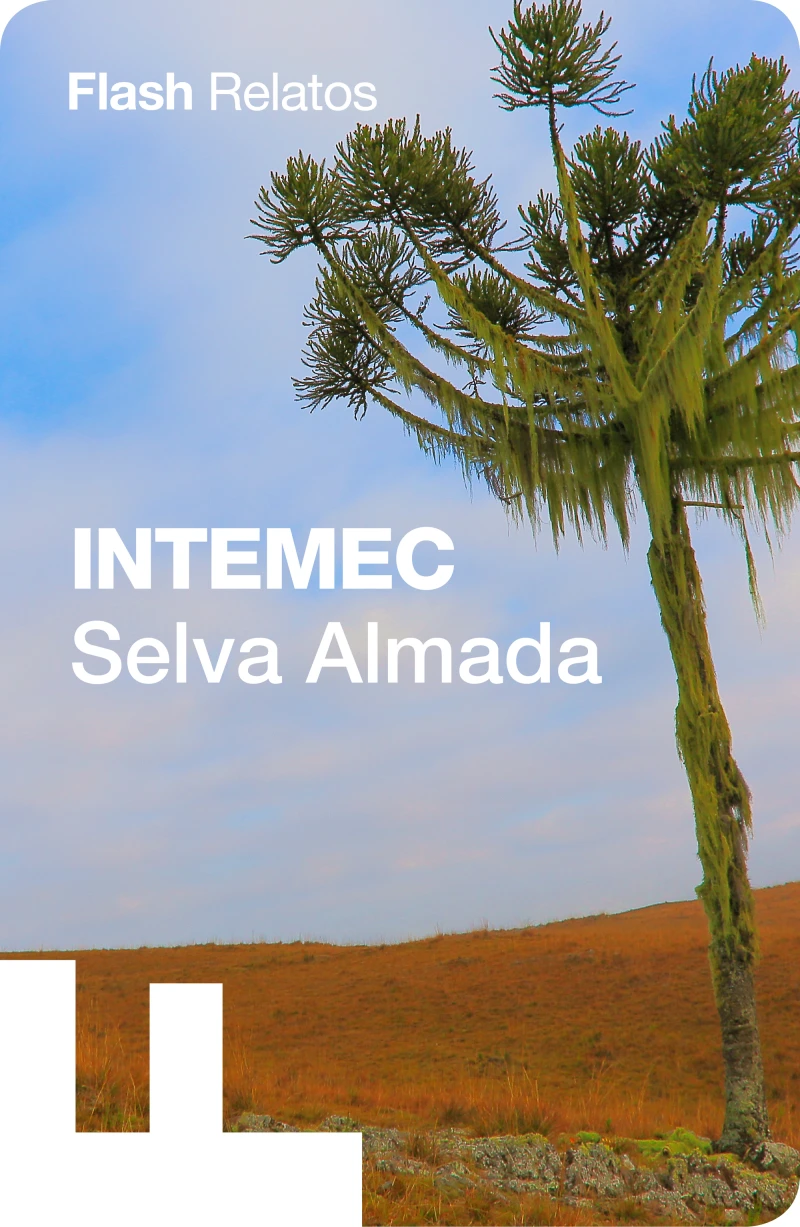 Portada: Intemec
