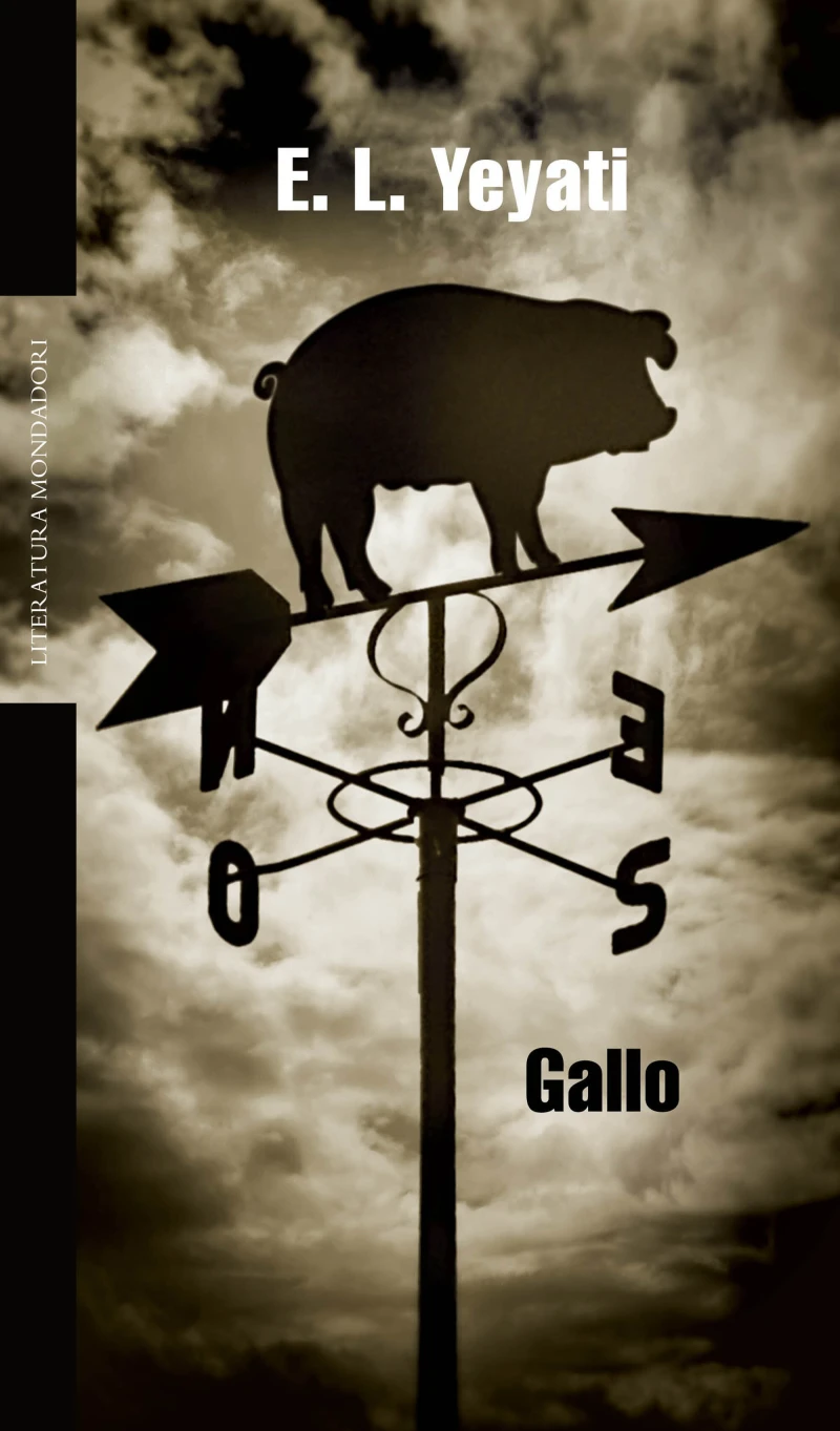 Portada: Gallo
