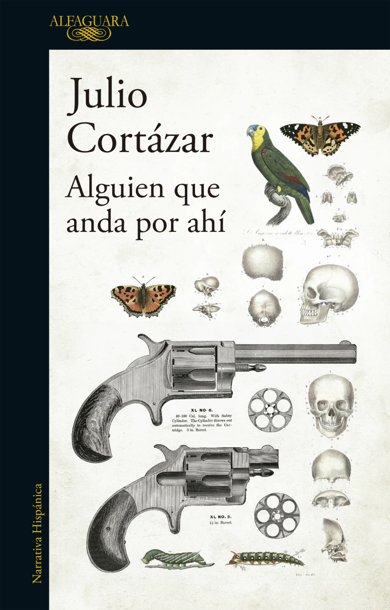 Portada: Alguien que anda por ahí
