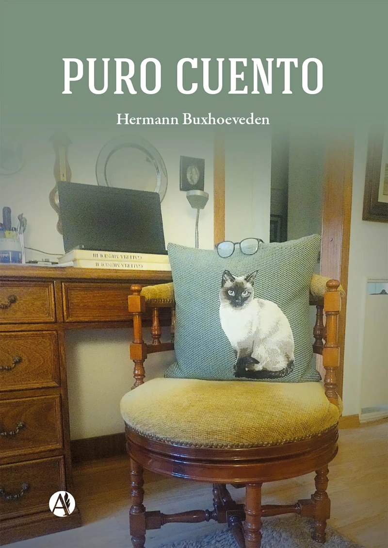 Portada: Puro cuento