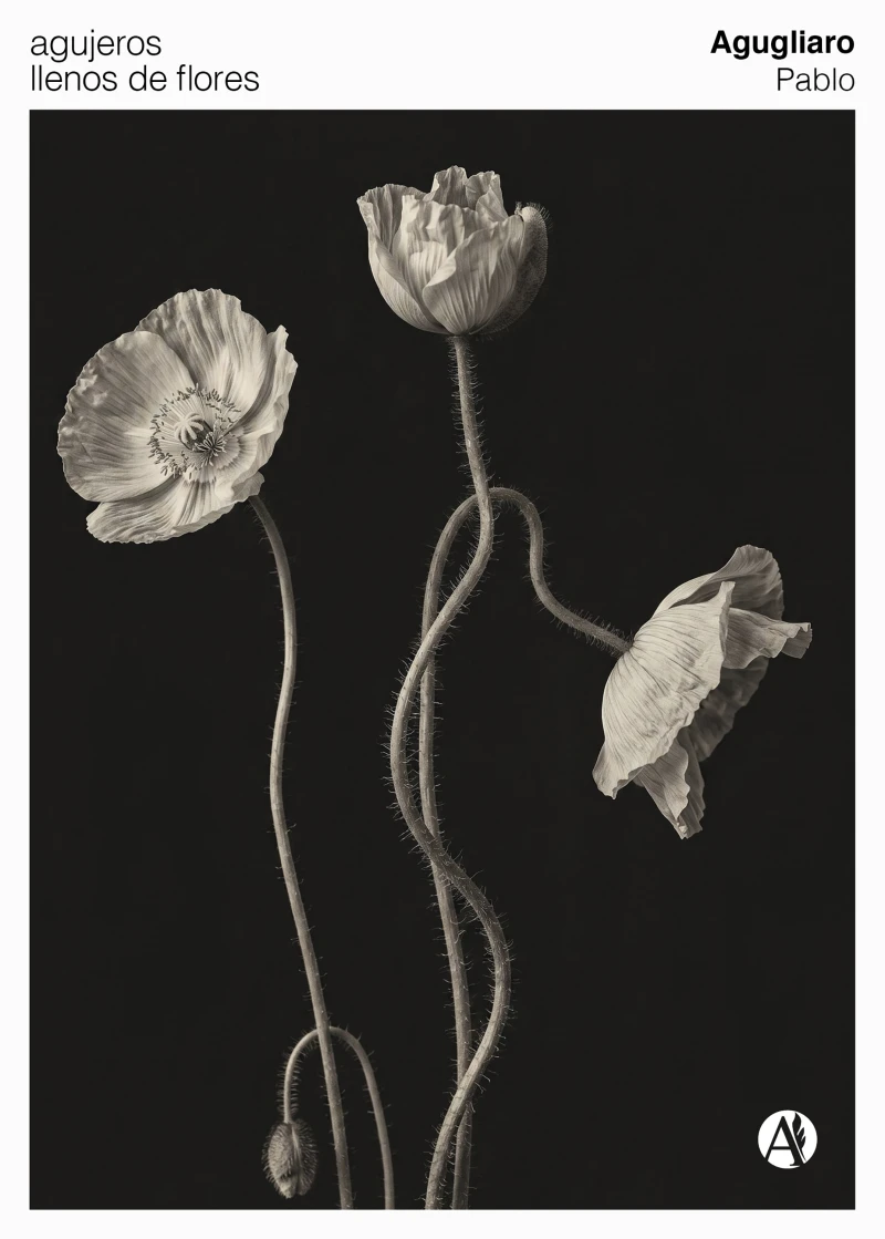 Portada: Agujeros llenos de flores