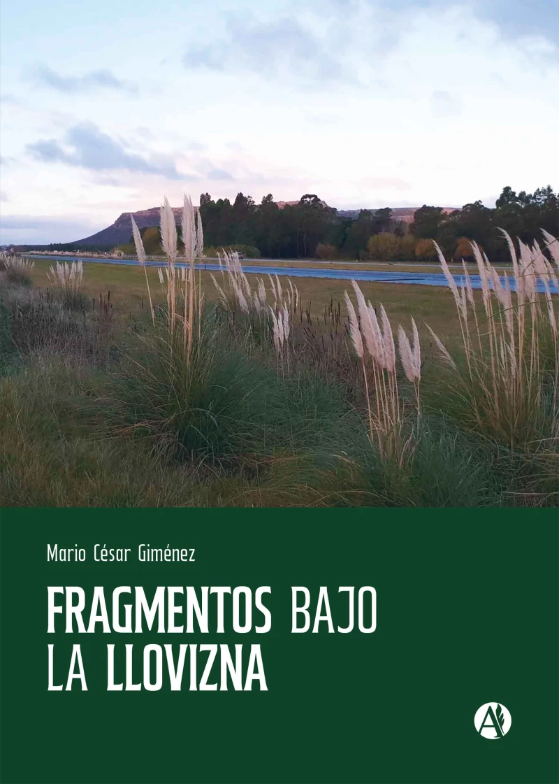 Portada: Fragmentos bajo la llovizna
