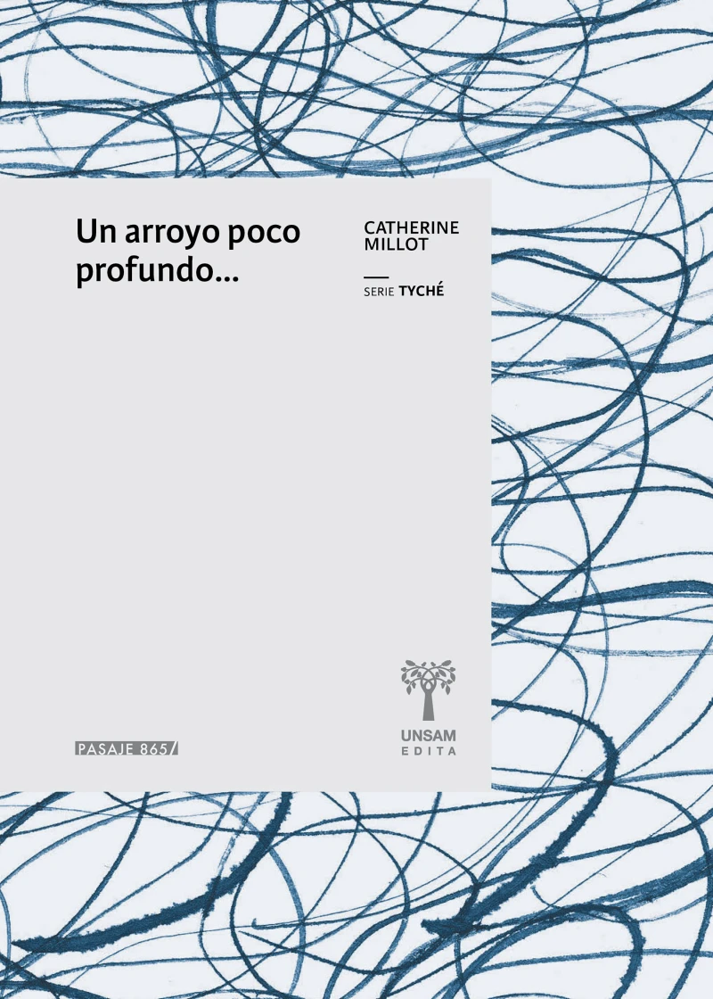 Portada: Un arroyo poco profundo...