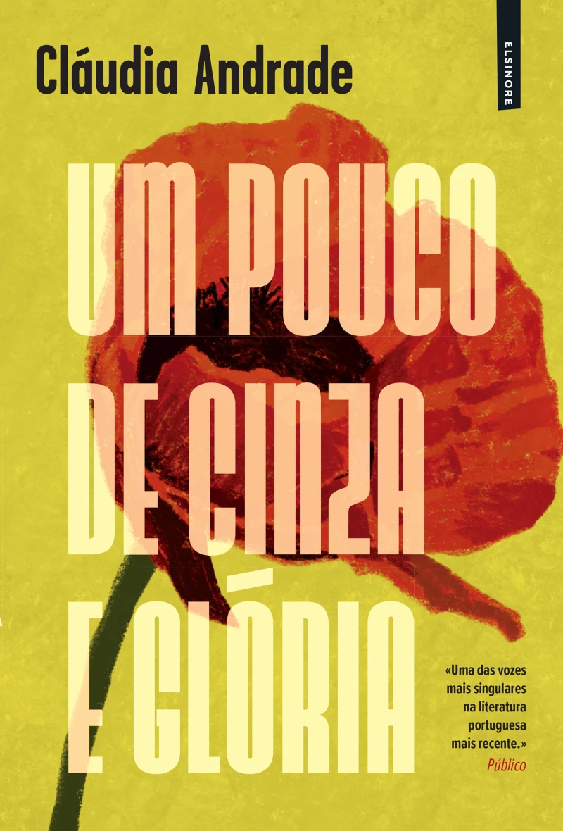 Portada: Um Pouco de Cinza e Glória