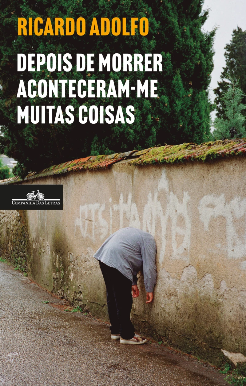 Portada: Depois de morrer aconteceram-me muitas coisas