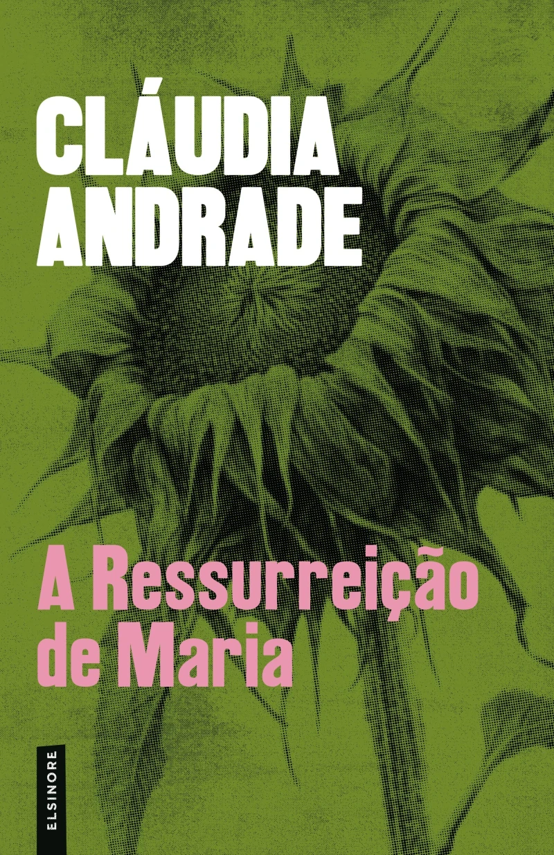 Portada: A Ressurreição de Maria