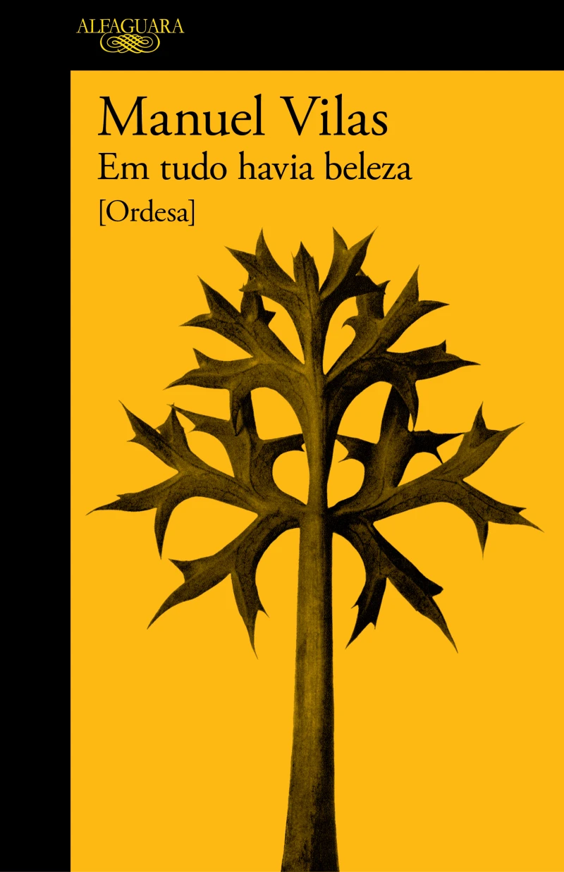 Portada: Em tudo havia beleza