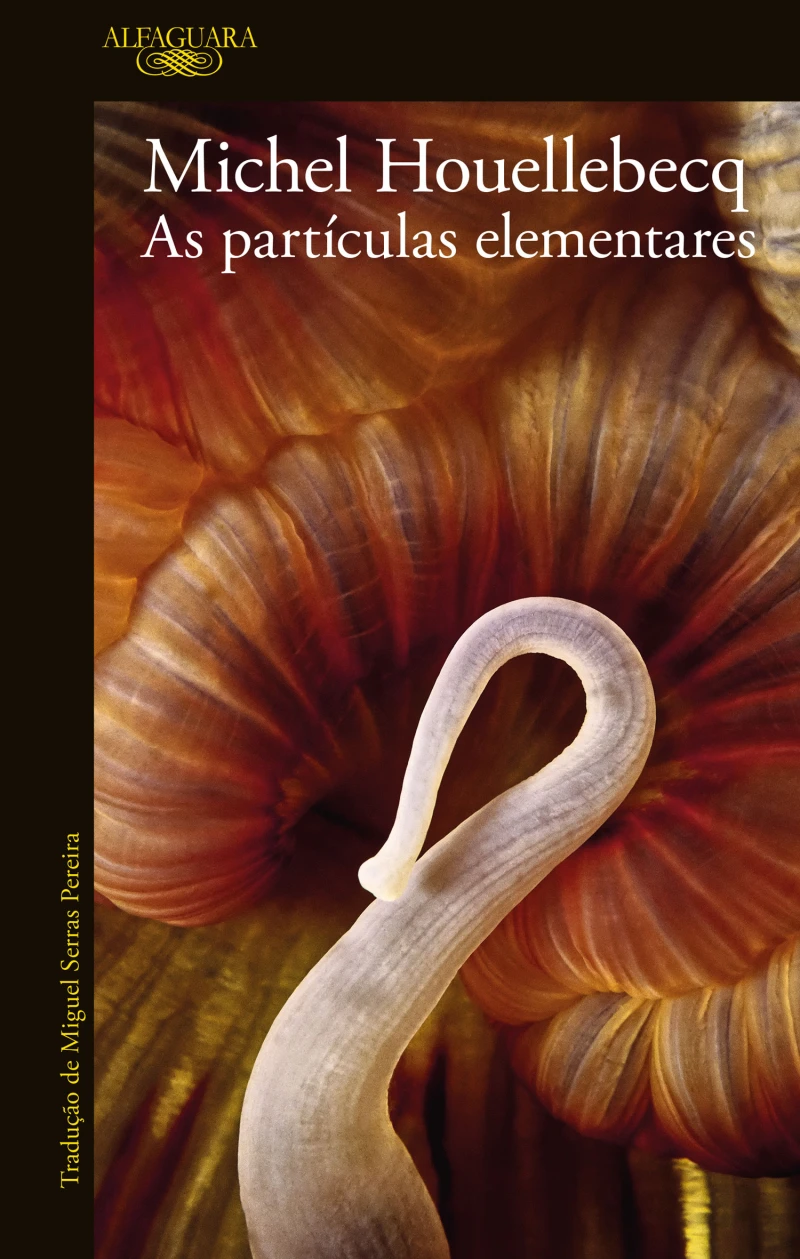 Portada: As partículas elementares