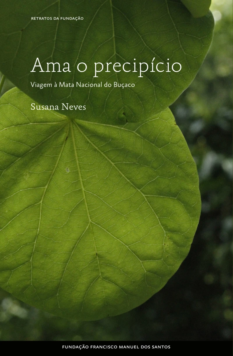 Portada: Ama o precipício, Viagem à Mata Nacional do Buçaco