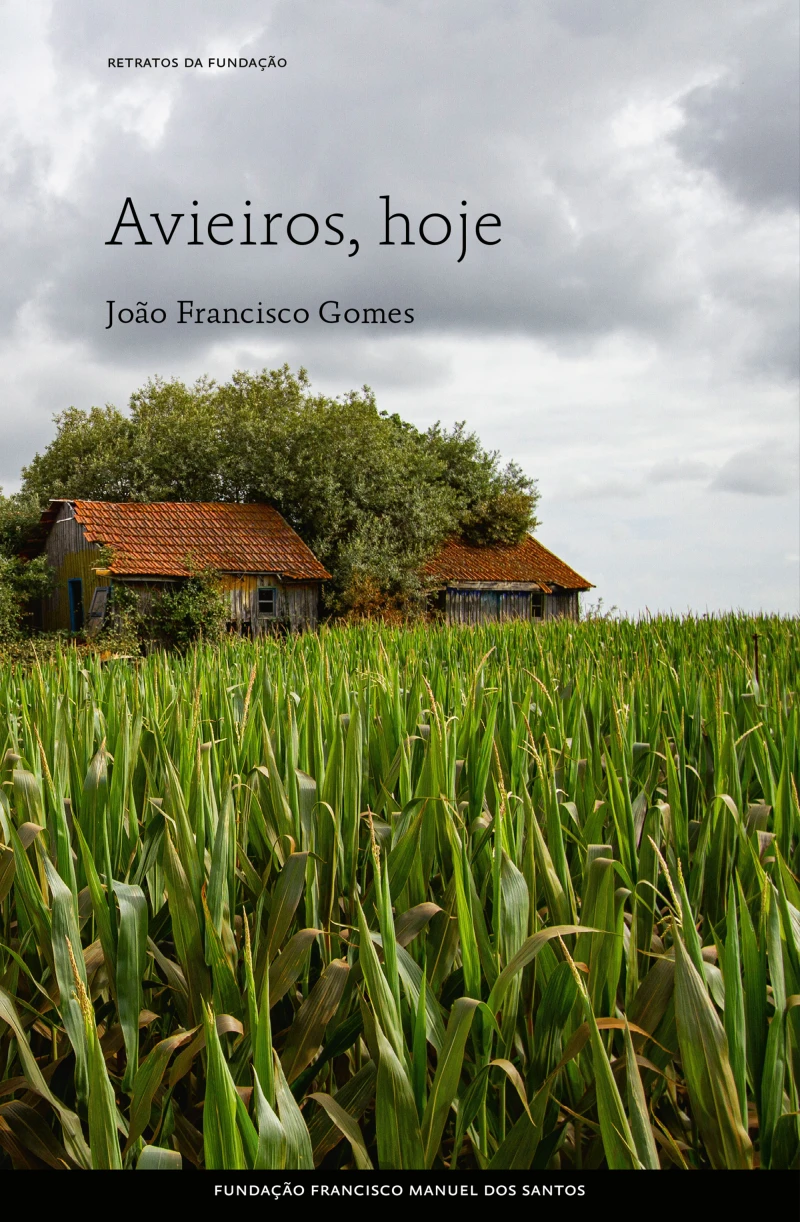Portada: Avieiros, hoje