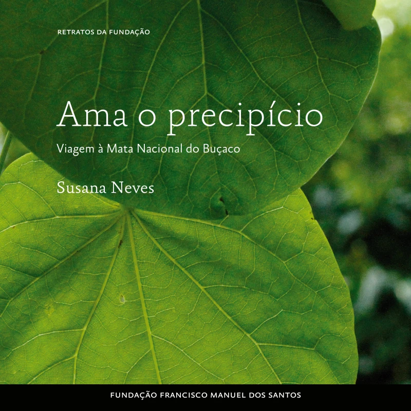 Portada: Ama o precipício, Viagem à Mata Nacional do Buçaco