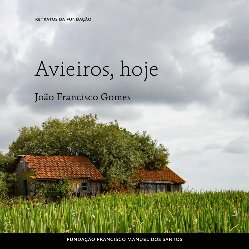 Portada: Avieiros, hoje