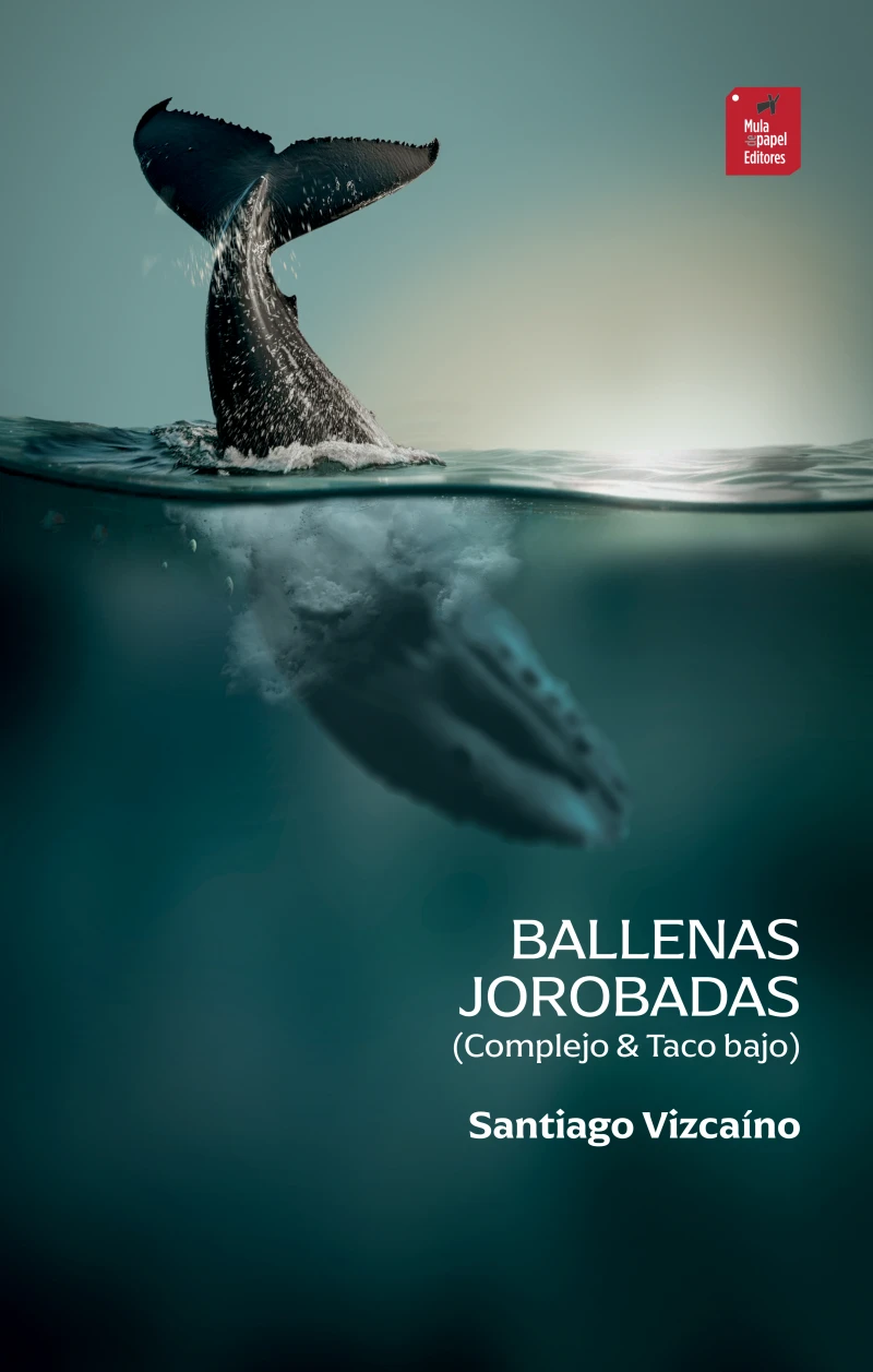 Portada: Ballenas jorobadas (Complejo & Taco bajo)