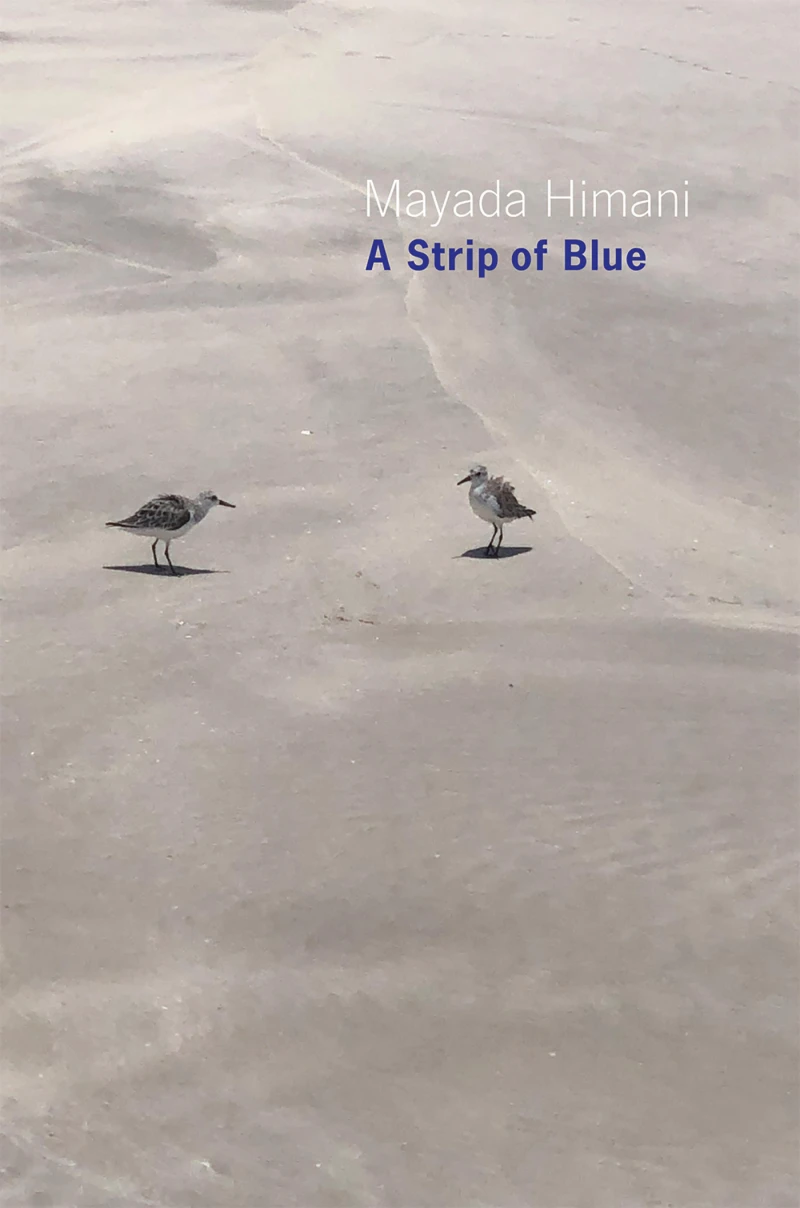 Portada: A Strip of Blue