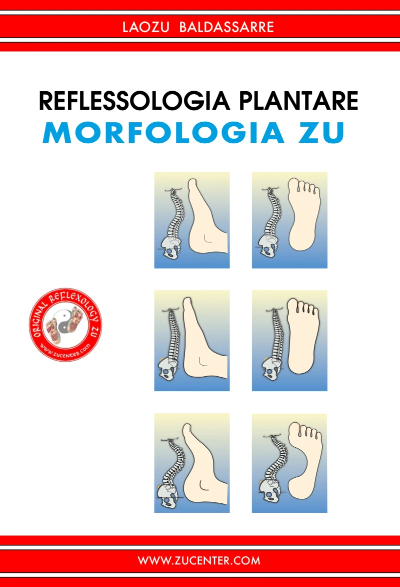 Portada: Reflessologia plantare - Morfologia Zu