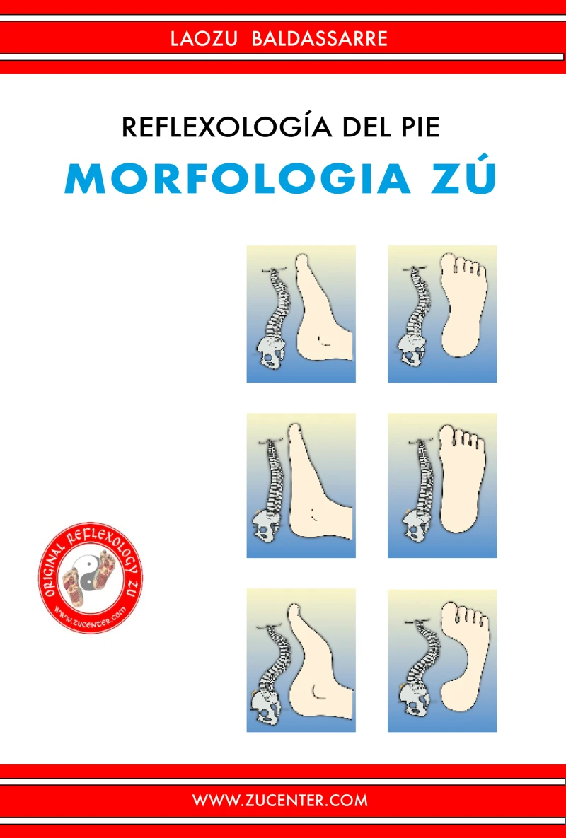 Portada: Reflexología del pie - Morfologia Zú