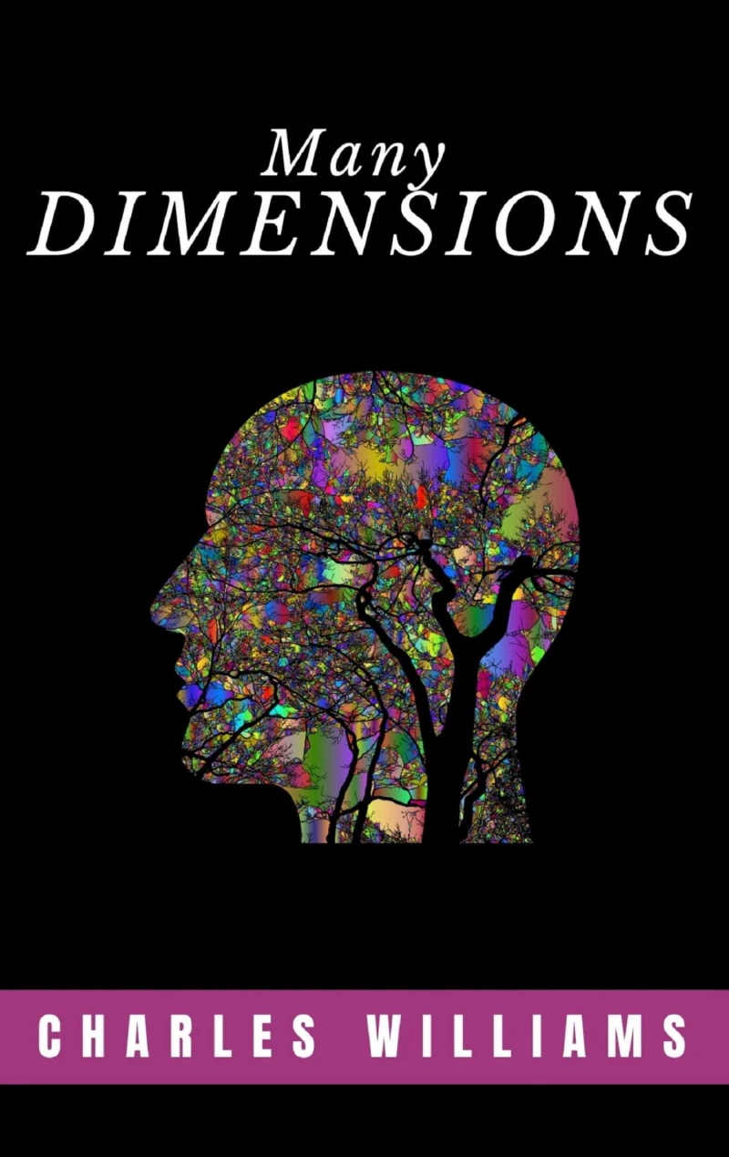 Portada: Many Dimensions