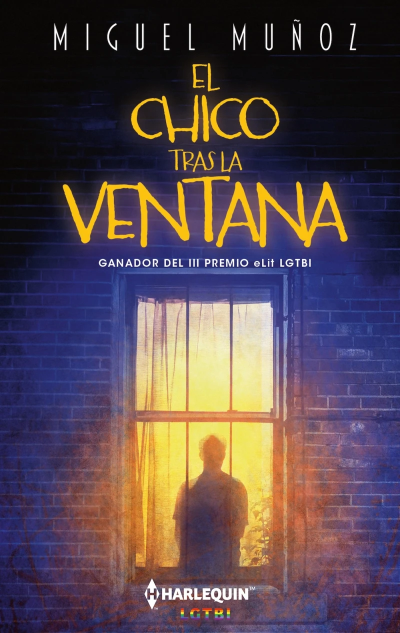 Portada: El chico tras la ventana