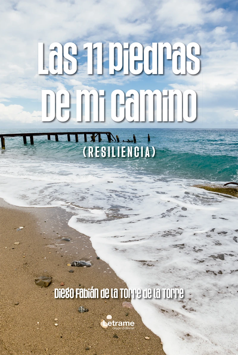 Portada: Las 11 piedras de mi camino