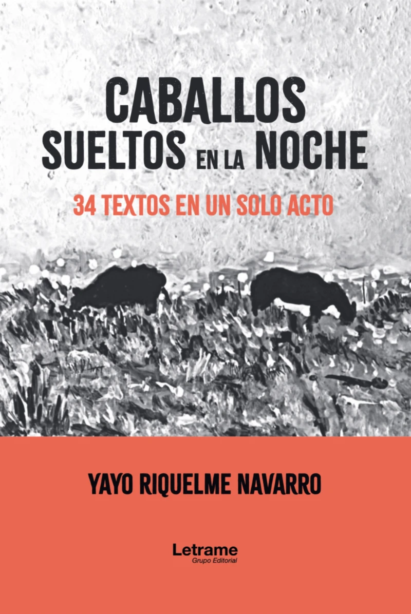 Portada: Caballos sueltos en la noche