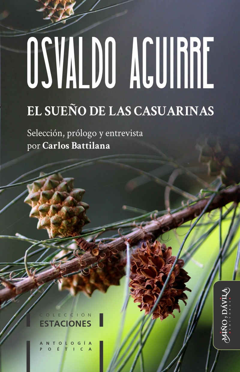 Portada: El sueño de las casuarinas