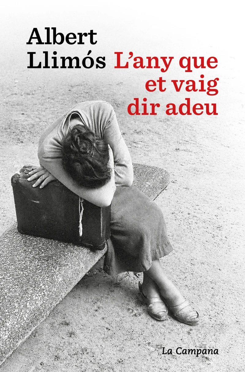 Portada: L'any que et vaig dir adeu