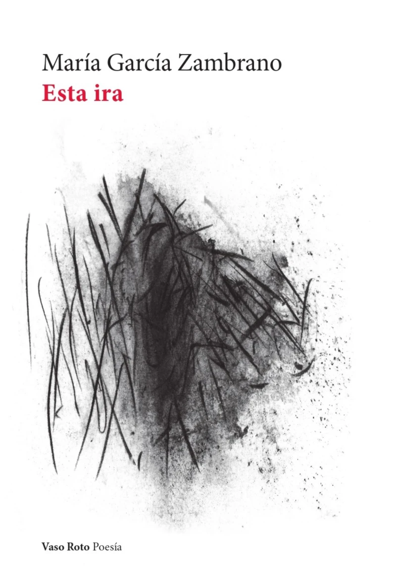 Portada: Esta ira