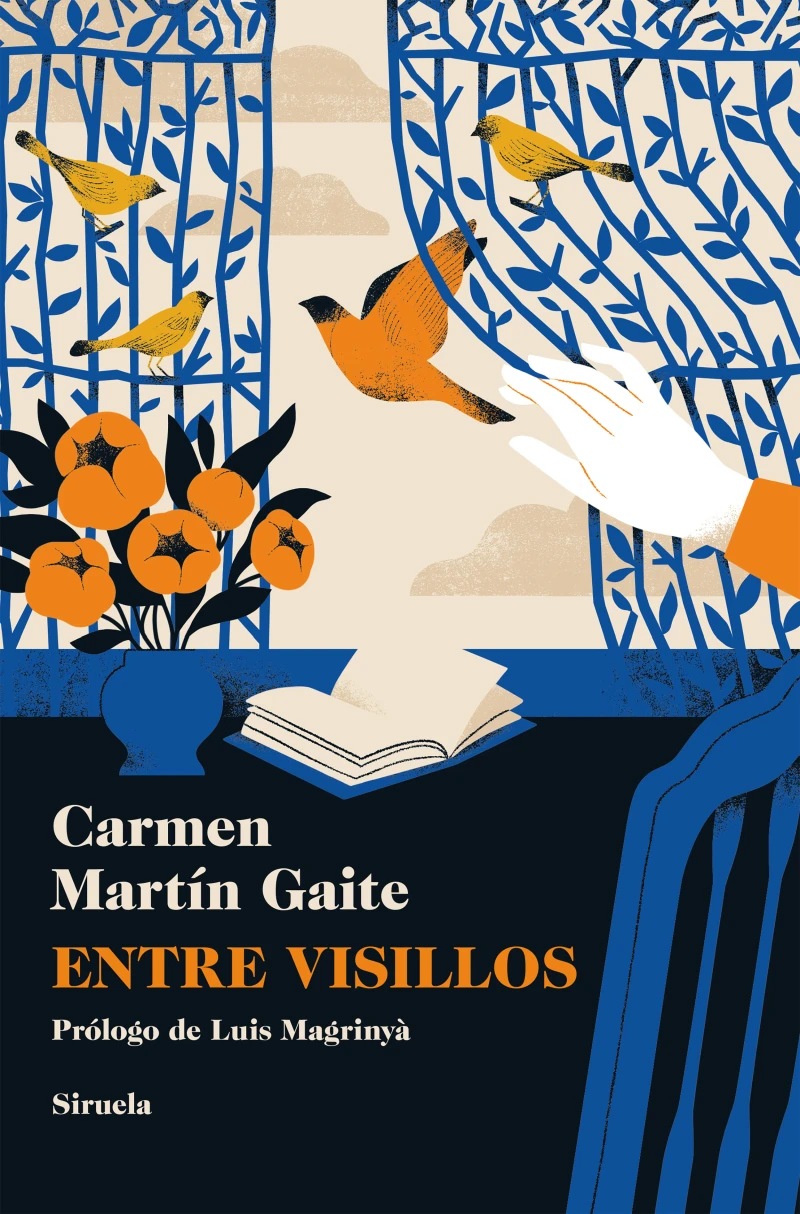Portada: Entre visillos