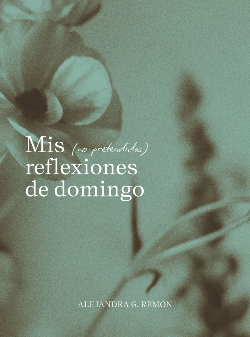 Portada: Mis (no pretendidas) reflexiones de domingo