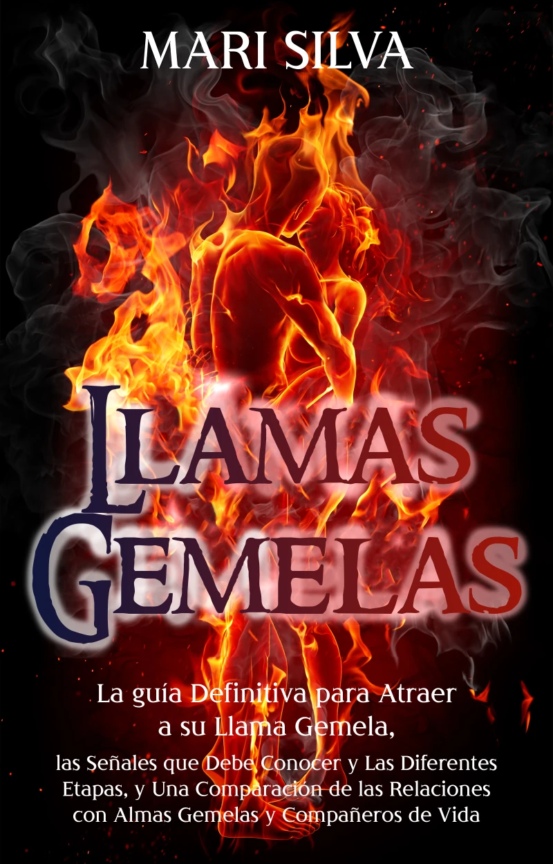 Portada: Llamas Gemelas