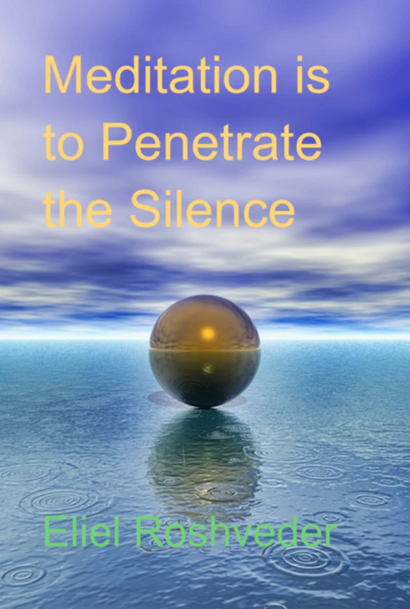 Portada: Meditation Is To Penetrate The Silence