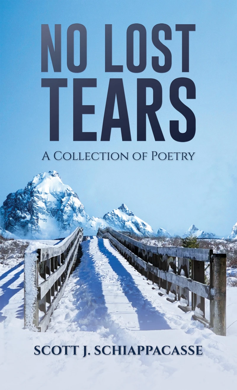 Portada: No Lost Tears