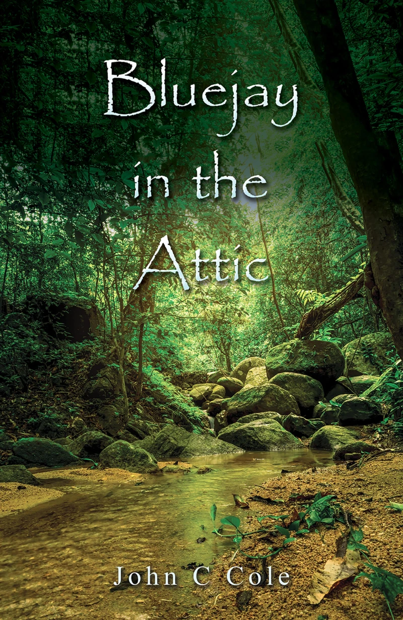 Portada: Bluejay in the Attic