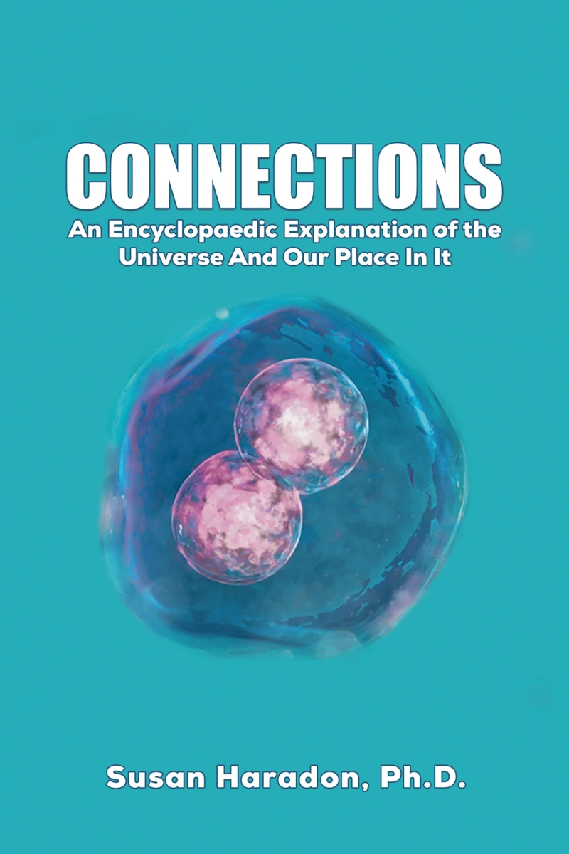 Portada: Connections