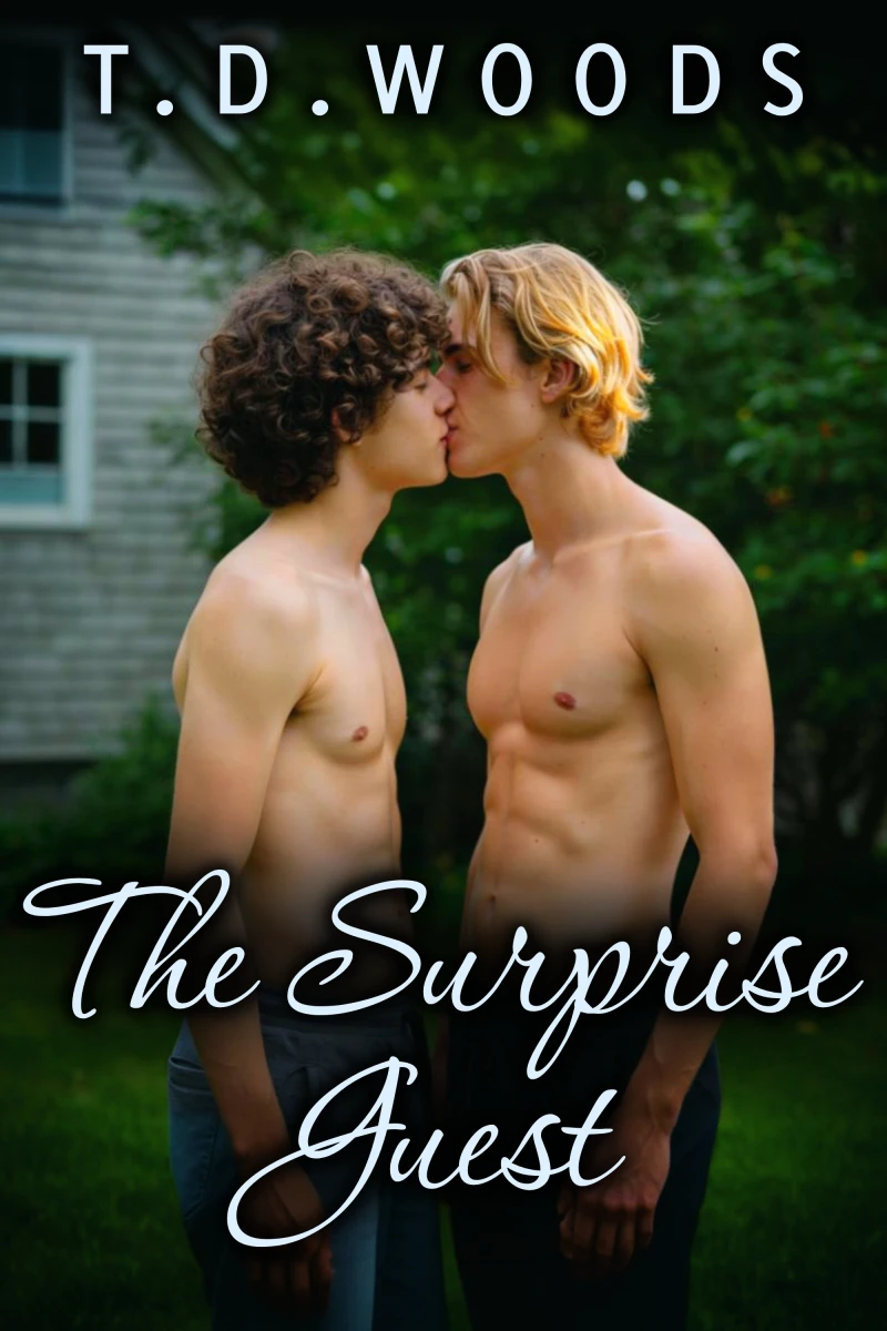 Portada: The Surprise Guest