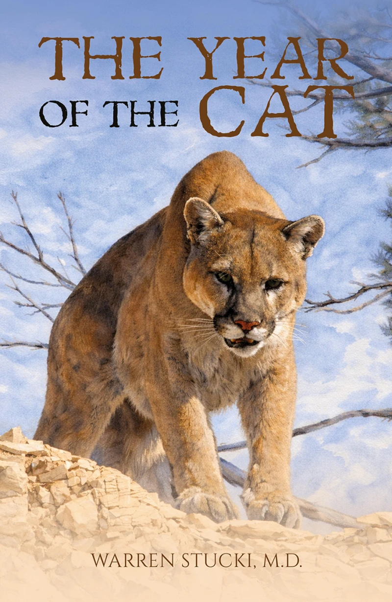Portada: The Year of the Cat