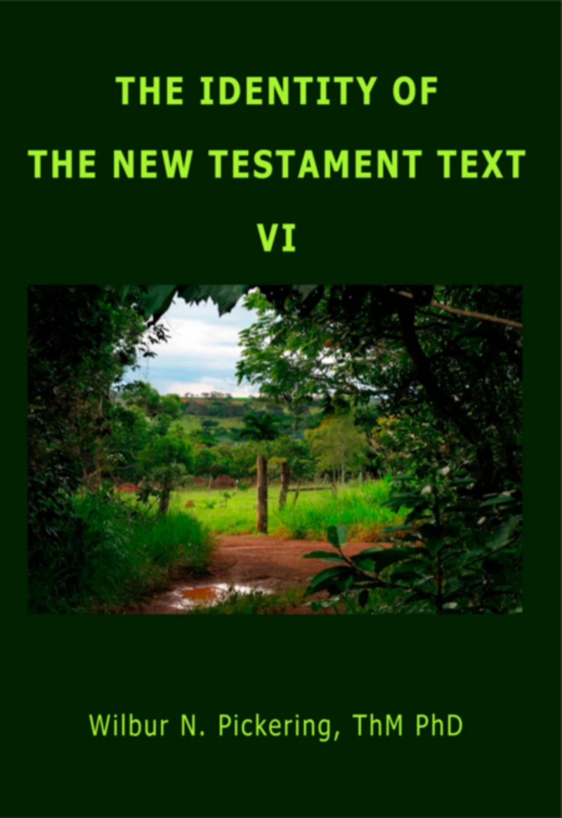 Portada: The Identity Of The New Testament Text Vi
