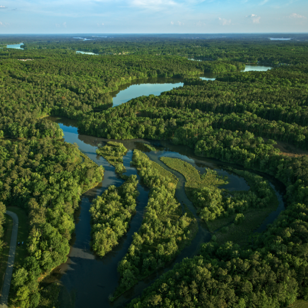 The Allure of the Next Journey