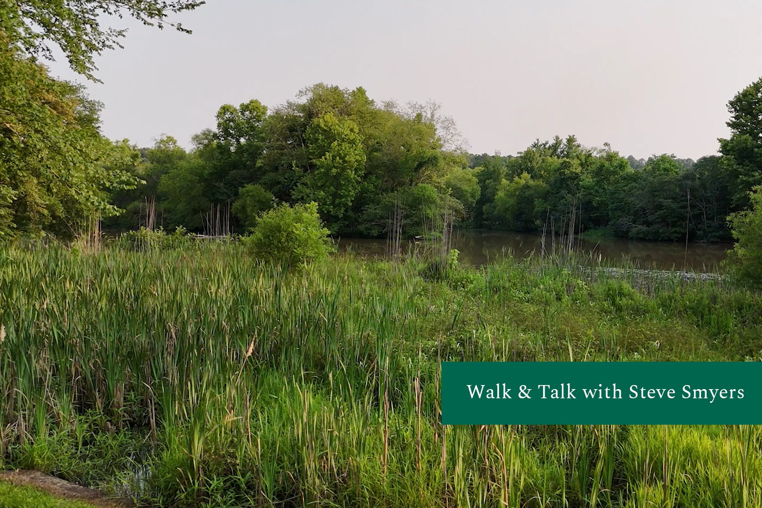Walk and talk2